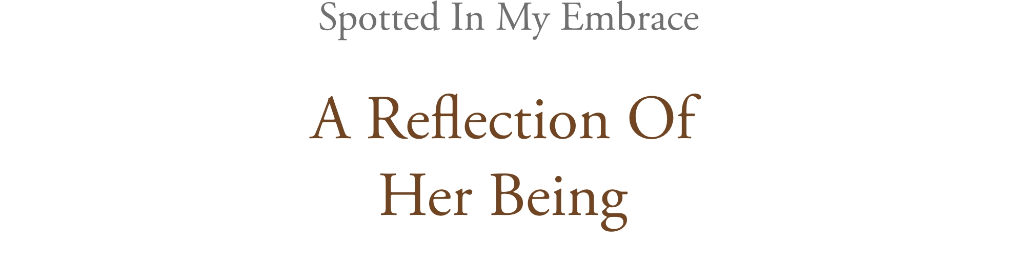 My Embrace Title